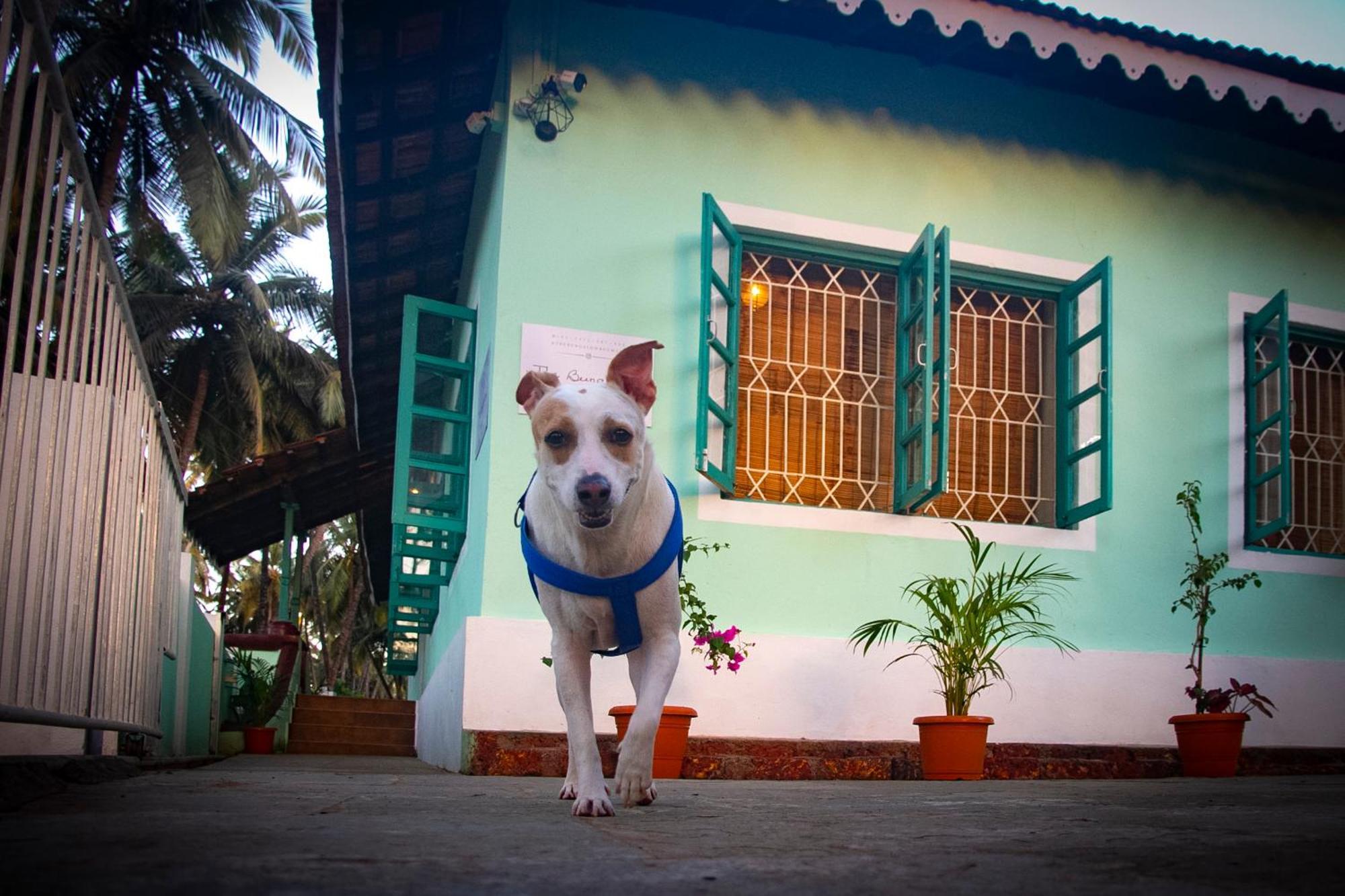 The Bungalow Bogmalo An 1880 Indo Portuguese Heritage Beach Villa South Goa מראה חיצוני תמונה
