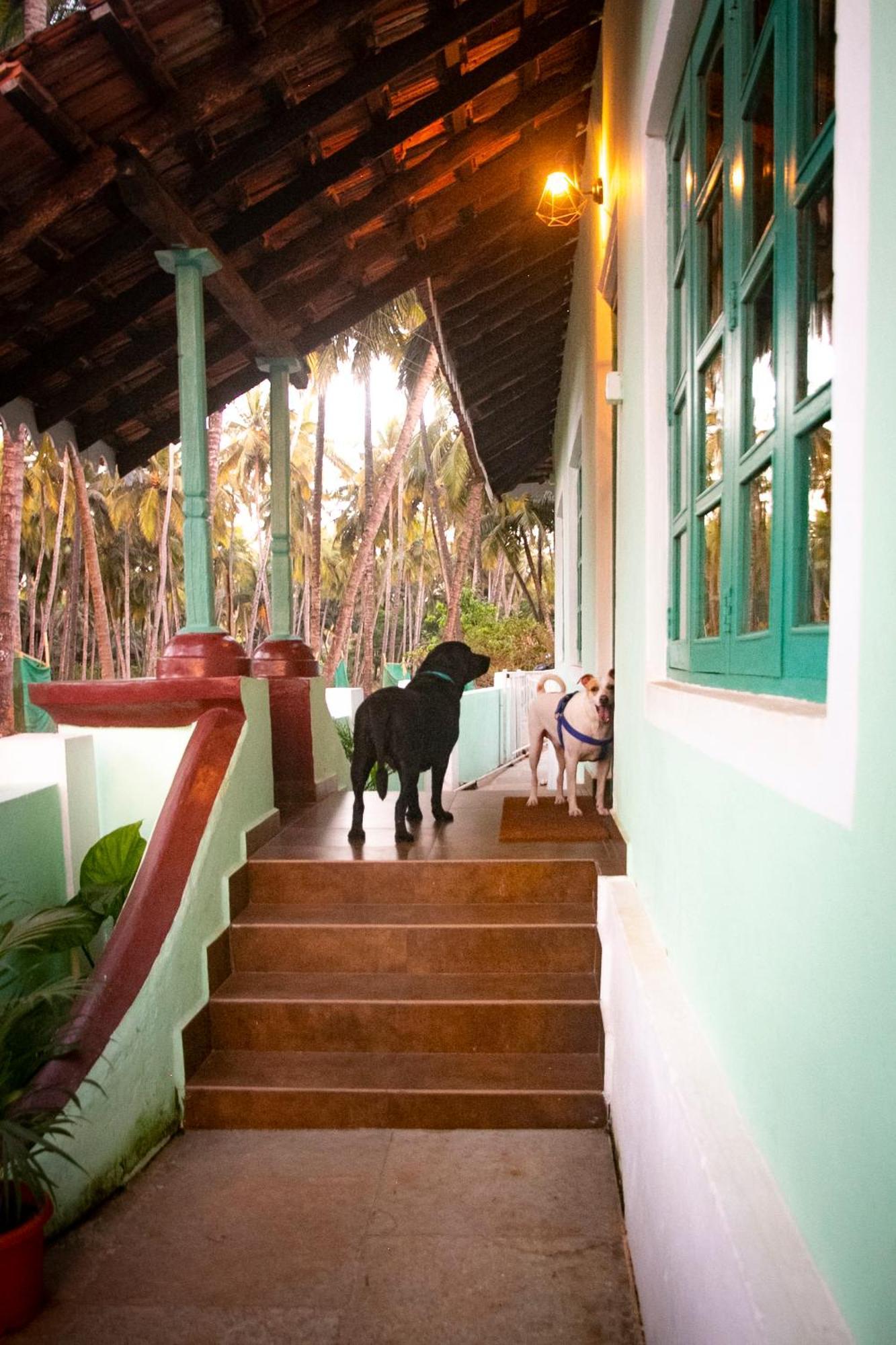 The Bungalow Bogmalo An 1880 Indo Portuguese Heritage Beach Villa South Goa מראה חיצוני תמונה